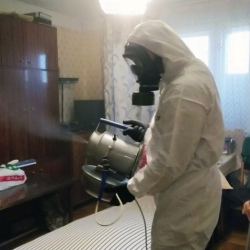 Дезинфекция от клопов в Апшеронске